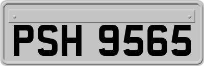 PSH9565