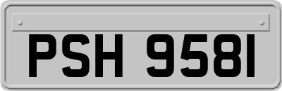 PSH9581