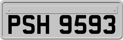 PSH9593