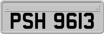 PSH9613