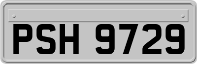PSH9729