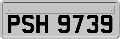 PSH9739
