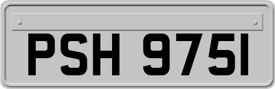 PSH9751