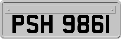 PSH9861
