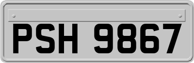PSH9867
