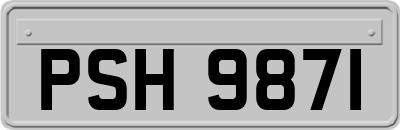 PSH9871