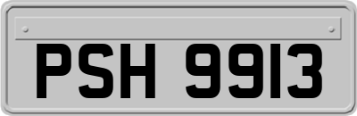 PSH9913