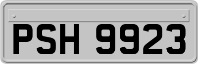 PSH9923