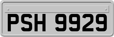 PSH9929