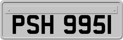 PSH9951