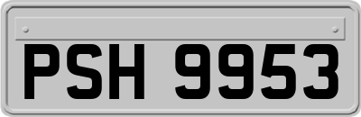PSH9953