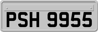 PSH9955