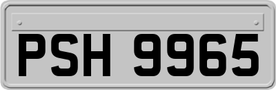 PSH9965