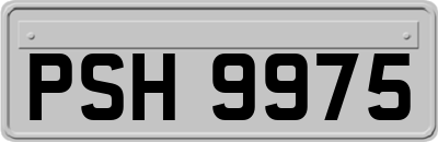 PSH9975