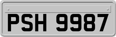 PSH9987