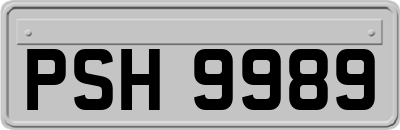 PSH9989