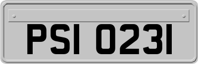 PSI0231
