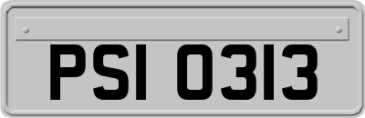 PSI0313