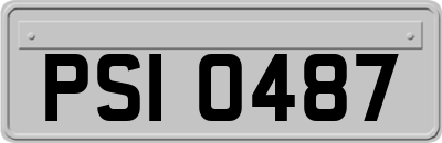 PSI0487