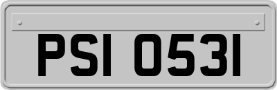 PSI0531