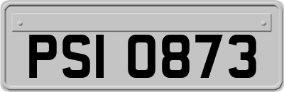 PSI0873