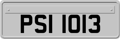 PSI1013
