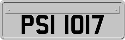 PSI1017