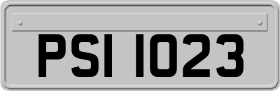 PSI1023