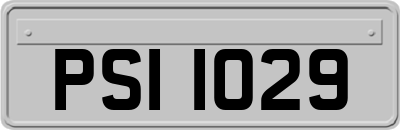 PSI1029