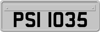 PSI1035