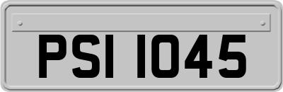 PSI1045