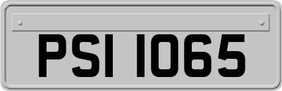 PSI1065