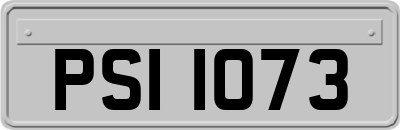 PSI1073