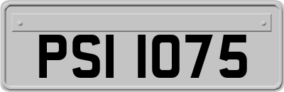 PSI1075