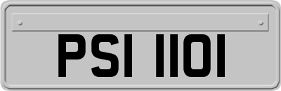 PSI1101