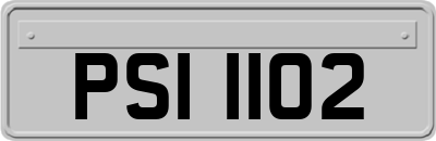 PSI1102