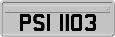 PSI1103