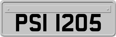 PSI1205