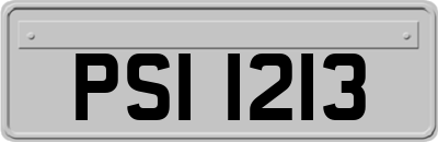 PSI1213