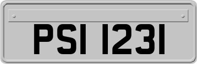 PSI1231