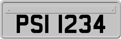 PSI1234