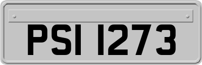 PSI1273
