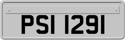 PSI1291