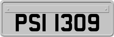 PSI1309