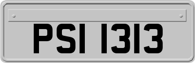 PSI1313