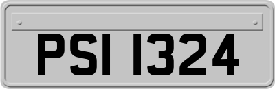 PSI1324