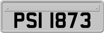 PSI1873