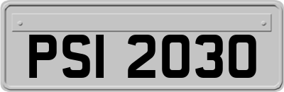 PSI2030