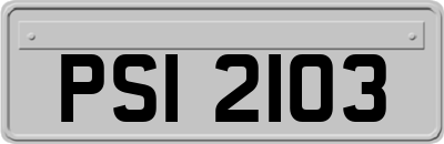 PSI2103