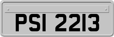 PSI2213